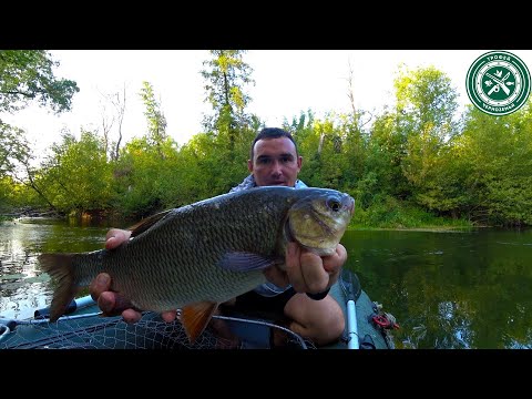 Видео: ЭТО СКАЗКА, В КОТОРУЮ НЕВОЗМОЖНО ПОВЕРИТЬ ! Рыбалка на спиннинг 2024