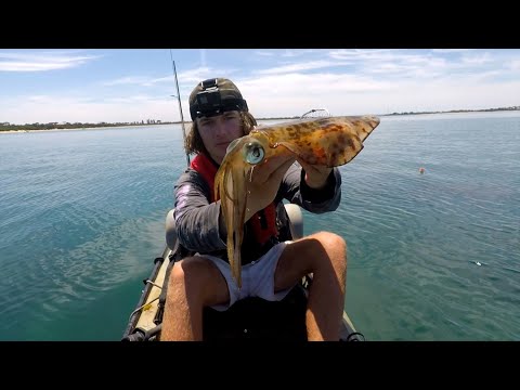 Видео: Как поймать кальмара с каяка