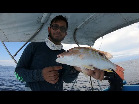 Видео: Рыбалка на удочку в заливе Пария — Патос — Тринидад и Тобаго, Карибские острова