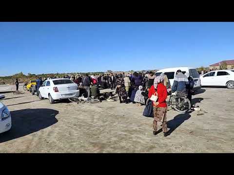 Видео: 12 ОКТЯБР 2025 ЖЫЛ ШЫМБАЙ ТАУЫК БАЗАР