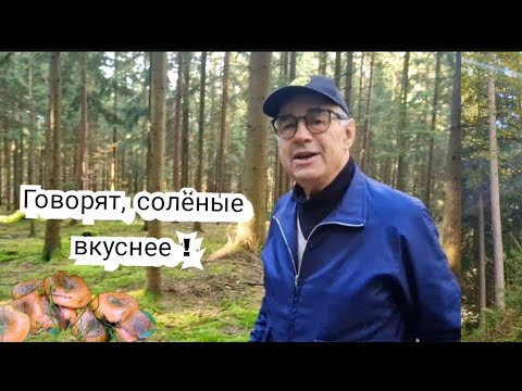 Видео: Сказали “не маринуйте, а солите!" Ну что ж, проверим 😉