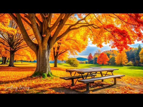 Видео: Красивая расслабляющая музыка 🍂 Перестаньте слишком много думать, музыка для снятия стресса с осенн