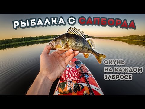 Видео: Рыбалка с Сапборда / Окунь на каждом забросе / Сапборд с Aliexpress / Team Dubna Backwater