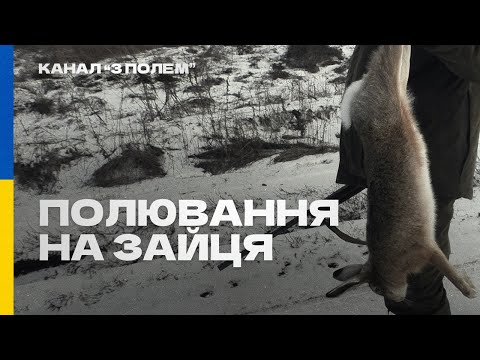 Видео: Заяча казка! Підняли СТО зайців! Полювання на зайця!