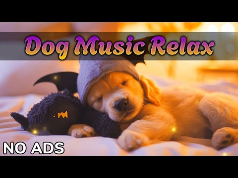 Видео: Музыка для собак от тревоги и беспокойства 🎶 Идеально для сна и отдыха 💤