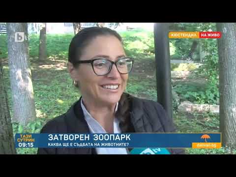 Видео: Тази сутрин: Зоопаркът в Кюстендил затваря за посетители заради неподновен лиценз
