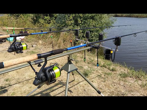 Видео: Тестирую на рыбалке новые бюджетные фидера Daiwa N`Zon и катушки Daiwa Black Widow