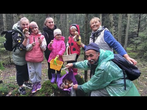 Видео: В Праге лес совсем другой,чем в Каневе .Грибов очень много !