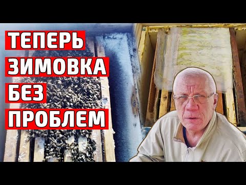 Видео: Зимовка пчел на пасеке Когда класть утепление