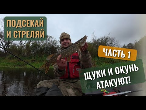 Видео: Подсекай и стреляй — Щука и окунь атакуют КОПЫТО, ЧАСТЬ 1! #5