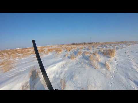 Видео: удачно по тропили зайчика