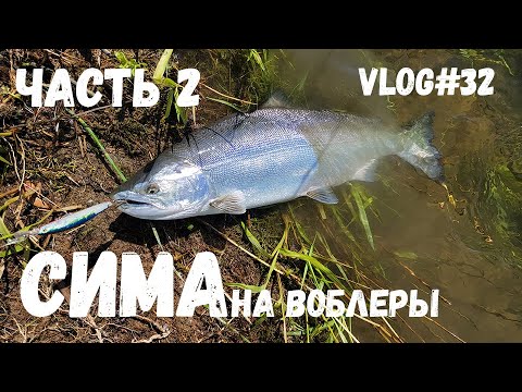 Видео: СИМА на Воблеры | 2023 часть 2