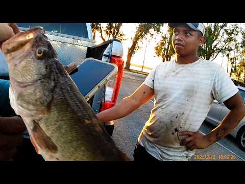 Видео: Пойманная браконьерами пресноводная рыба — Флорида