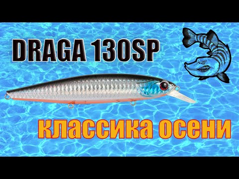 Видео: DRAGA 130SP  классика осени .