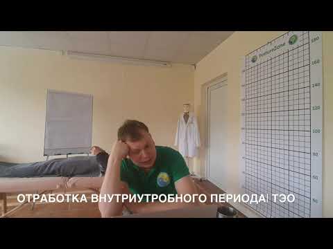 Видео: Внутриутробный период |ТЭО | Фрагмент вебинара| ВЕШО