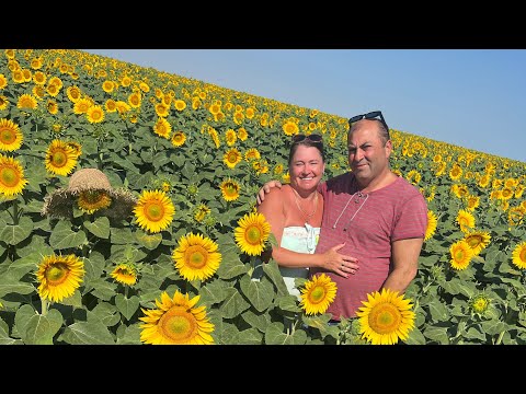 Видео: Влог 4 с Болгарии 🇧🇬🫶❤️🌻🌻🌻