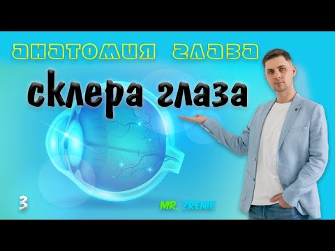 Видео: Склера глаза | Белковая оболочка глаза