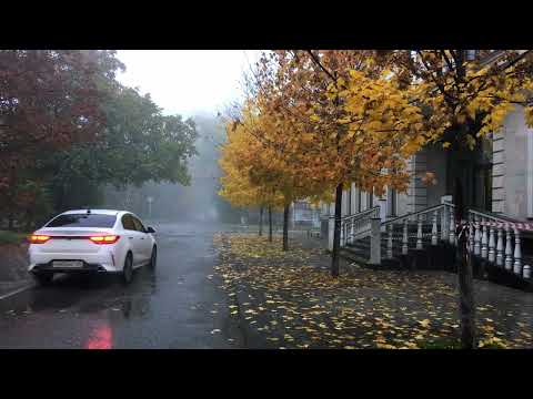 Видео: Осень на улицах города....