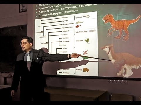 Видео: НОВАЯ СИСТЕМАТИКА. Часть 1.
