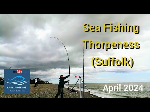 Видео: Морская рыбалка в Торпенессе (Саффолк)