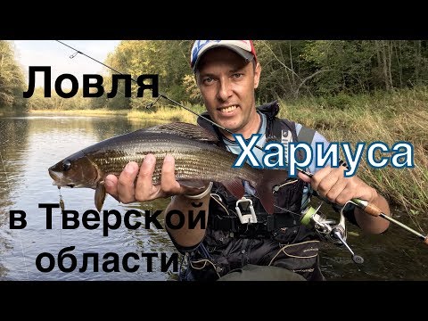 Видео: Ловля Хариуса в Тверской обл