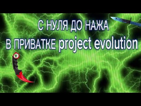 Видео: 👾С НУЛЯ👾ДО НОЖА👾В project evolution👾