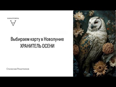 Видео: Выбираем карту в Новолуние октября. Хранитель Осени | Станислав Решетников | ИНСАЙТ ПОРТАЛ