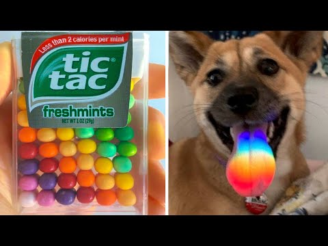 Видео: Чуть-чуть идеального! (3 часть)