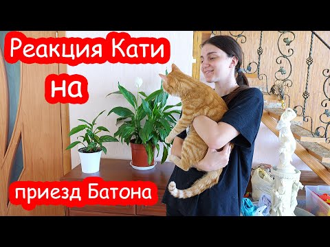 Видео: VLOG Реакция Кати и Махи на приезд Батона