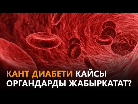 Видео: Newtv// Кант диабети кайсы органдарды жабыркатат? // дабагер