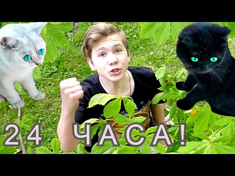 Видео: 24 ЧАСА КОШКИ РУКОВОДЯТ моей ЖИЗНЬЮ. КОШКИ ЗАЖИГАЮТ!!! ЧЕЛЛЕНДЖ