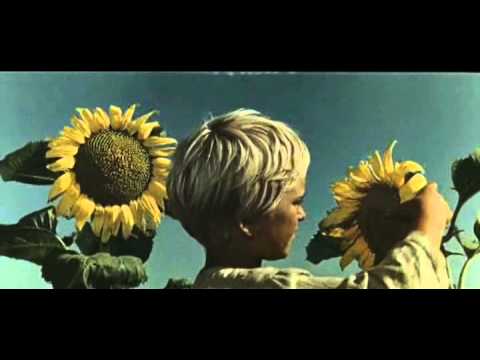 Видео: Худ. Фильм "Зачарованная Десна".