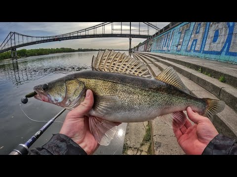 Видео: Рибалка в центрі Києва!! Набережна 2025