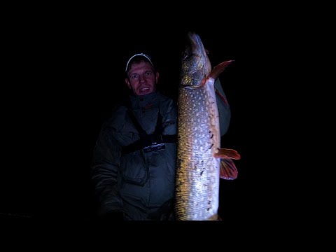 Видео: Спиннинг В ДУГУ! Ночной СУДАК и крупные СЛАГИ