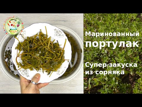 Видео: Маринованный портулак. Классная закуска из сорняка