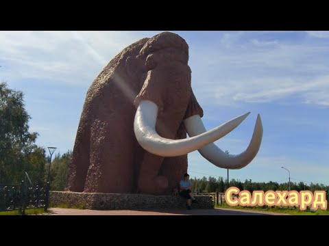 Видео: Обычный рейс в Салехард💥 с необычной погрузкой и разгрузкой. 