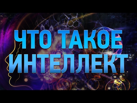 Видео: ЧТО ТАКОЕ ИНТЕЛЛЕКТ? | IQ