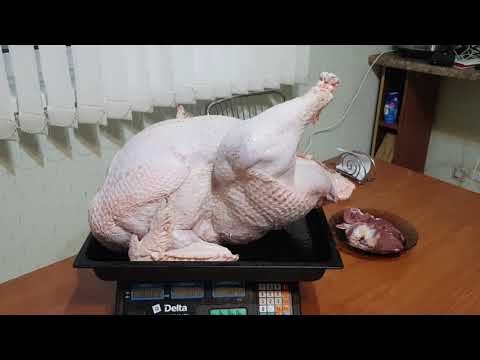 Видео: Индюки Биг-6. Вес, содержание, забой в 4,5 месяца(19 недель, 133дня).