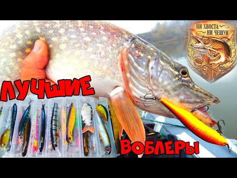 Видео: ТОП НА ЩУКУ!ЛУЧШИЕ ВОБЛЕРЫ И ПРИМАНКИ НА ЩУКУ!ВОБЛЕРЫ ДЛЯ НОВИЧКОВ,НЕДОРОГИЕ НО УЛОВИСТЫЕ ПРИМАНКИ 2