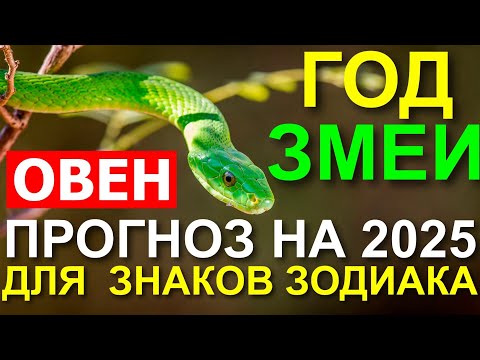 Видео: ПРОГНОЗ ДЛЯ ОВНА НА 2025. ГОД ЗМЕИ. ДРУЖИТЬ С ГОЛОВОЙ 😃