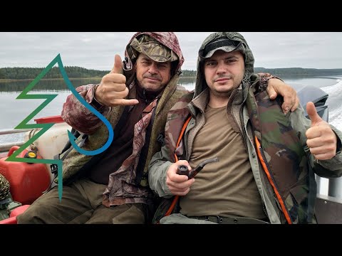 Видео: Приезд. Часть 1. Тайга у Белого моря 2. Охота и рыбалка в Карелии.