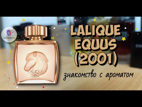 Видео: LALIQUE EQUUS POUR HOMME (2001) - знакомство с интересным ароматом именитого бренда, мое мнение
