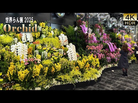 Видео: 【4K HDR Орхидея】 Международная выставка орхидей 2025. International Orchid and Flower Show 2025.
