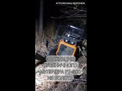 Видео: ЭВАКУАЦИЯ ГУСЕНИЧНОГО МУЛЬЧЕРА РТ 300 ИЗ БОЛОТА