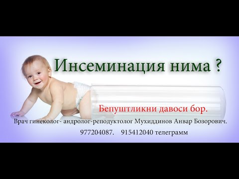 Видео: #Инсименация кандай килинади. Суний уруглантиришми? 915412040