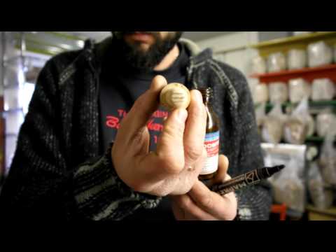 Видео: Купить Пакеты для мицелия или Как сделать самому,