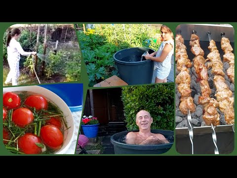 Видео: Малосольные помидоры  / Шашлык на даче/ Жарим овощи  на костре