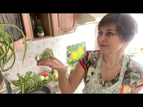 Видео: Обед. Как питаюсь, чтобы быть в форме.