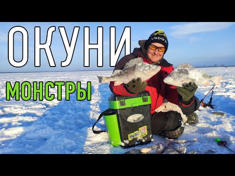 Видео: ЛОВЛЯ КРУПНОГО ОКУНЯ НА МИКРОБАЛДУ И ЧЕРТИКА ЗИМОЙ