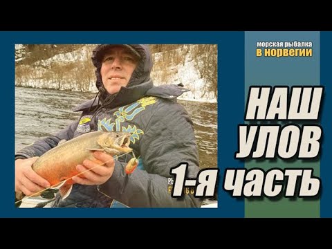 Видео: Наш улов, часть первая